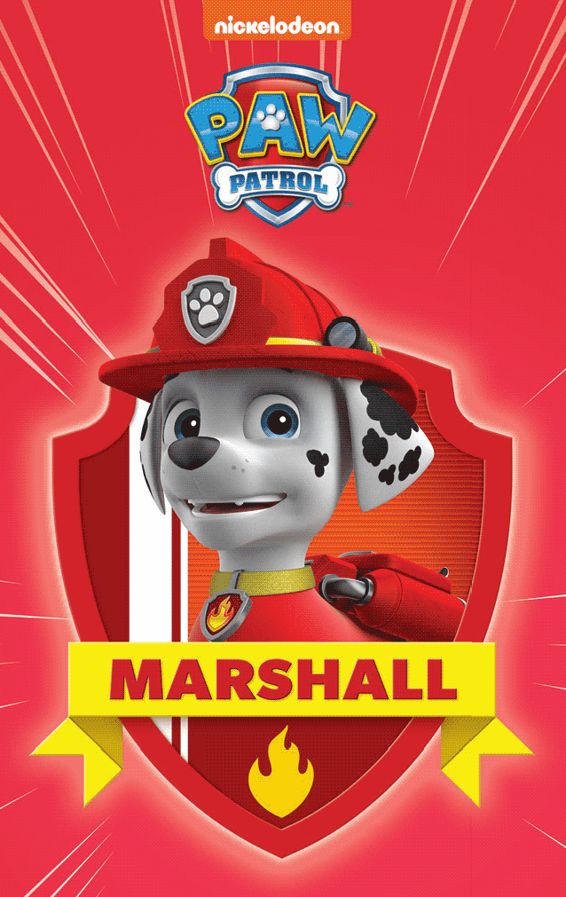 PAW Patrol Pup Pack (7DIS)