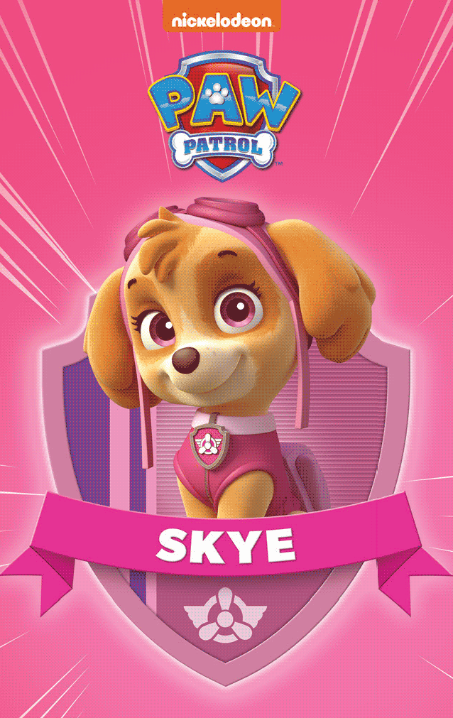 PAW Patrol Pup Pack (7DIS)