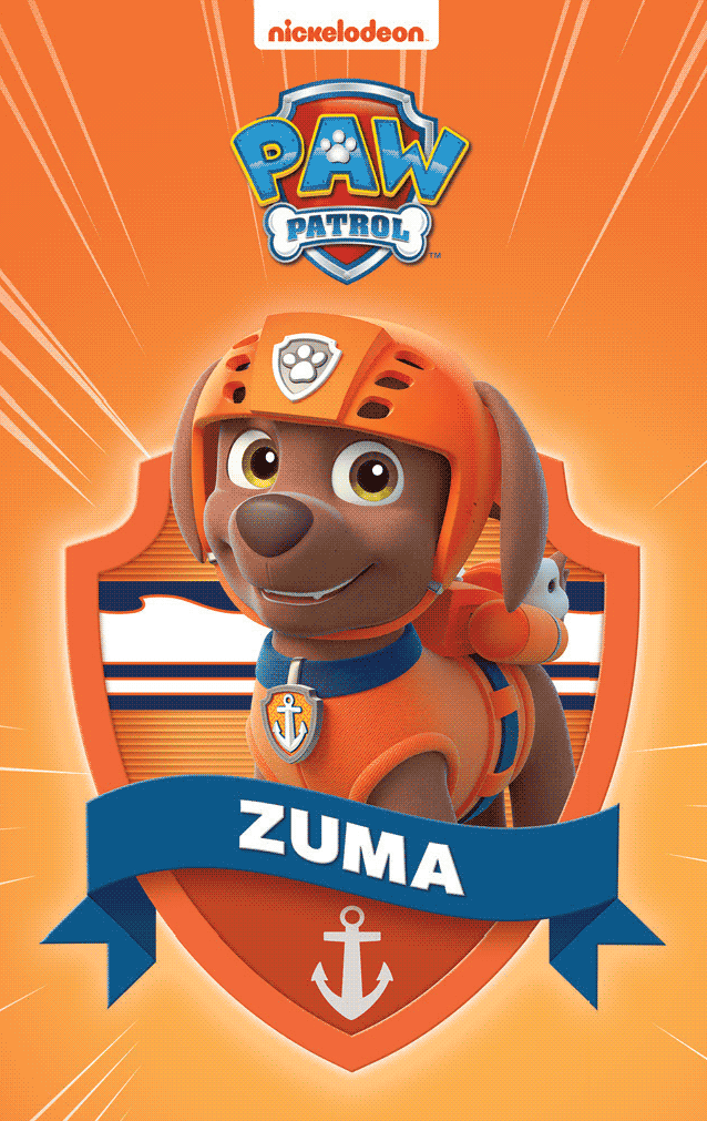 PAW Patrol Pup Pack (7DIS)